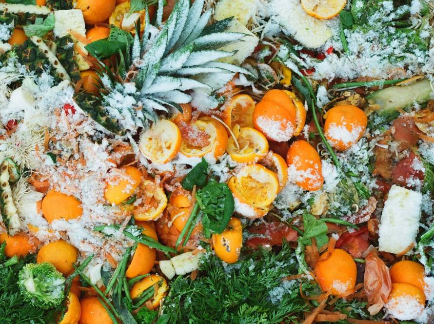 Organic compost produced from food waste by Bio-Mate composting machine