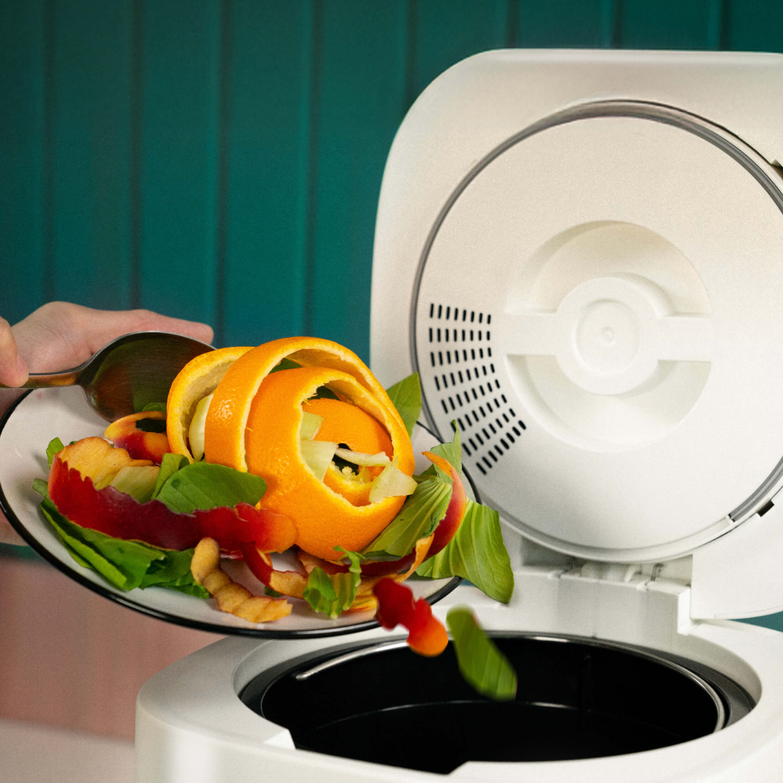 food waste composter for home