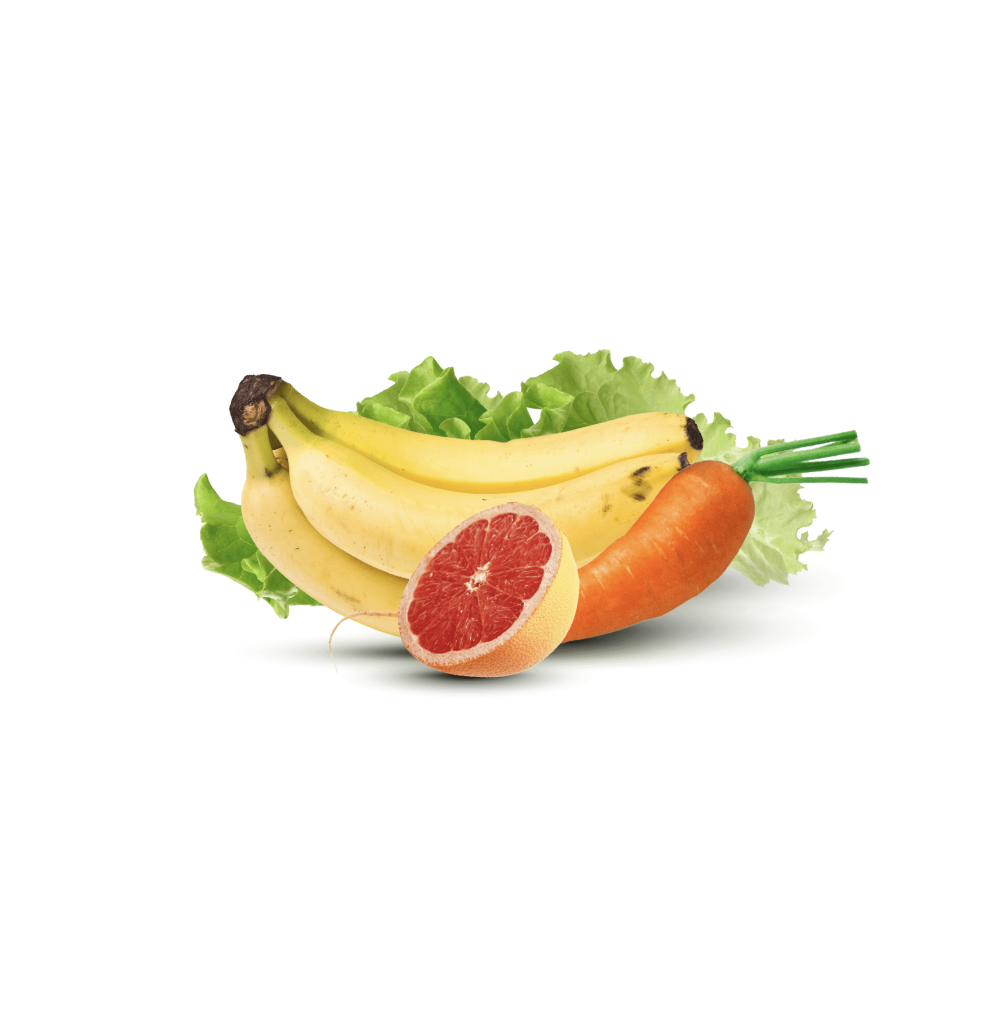 fruits and vegetables